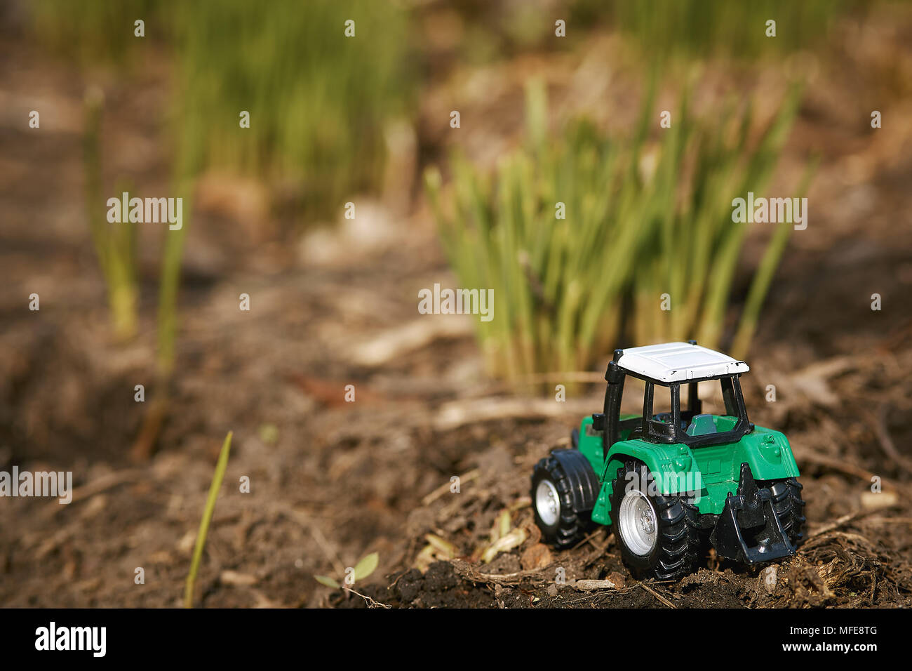 Trattore giocattolo su erba verde sfondo . Molla di opere di semina Foto Stock