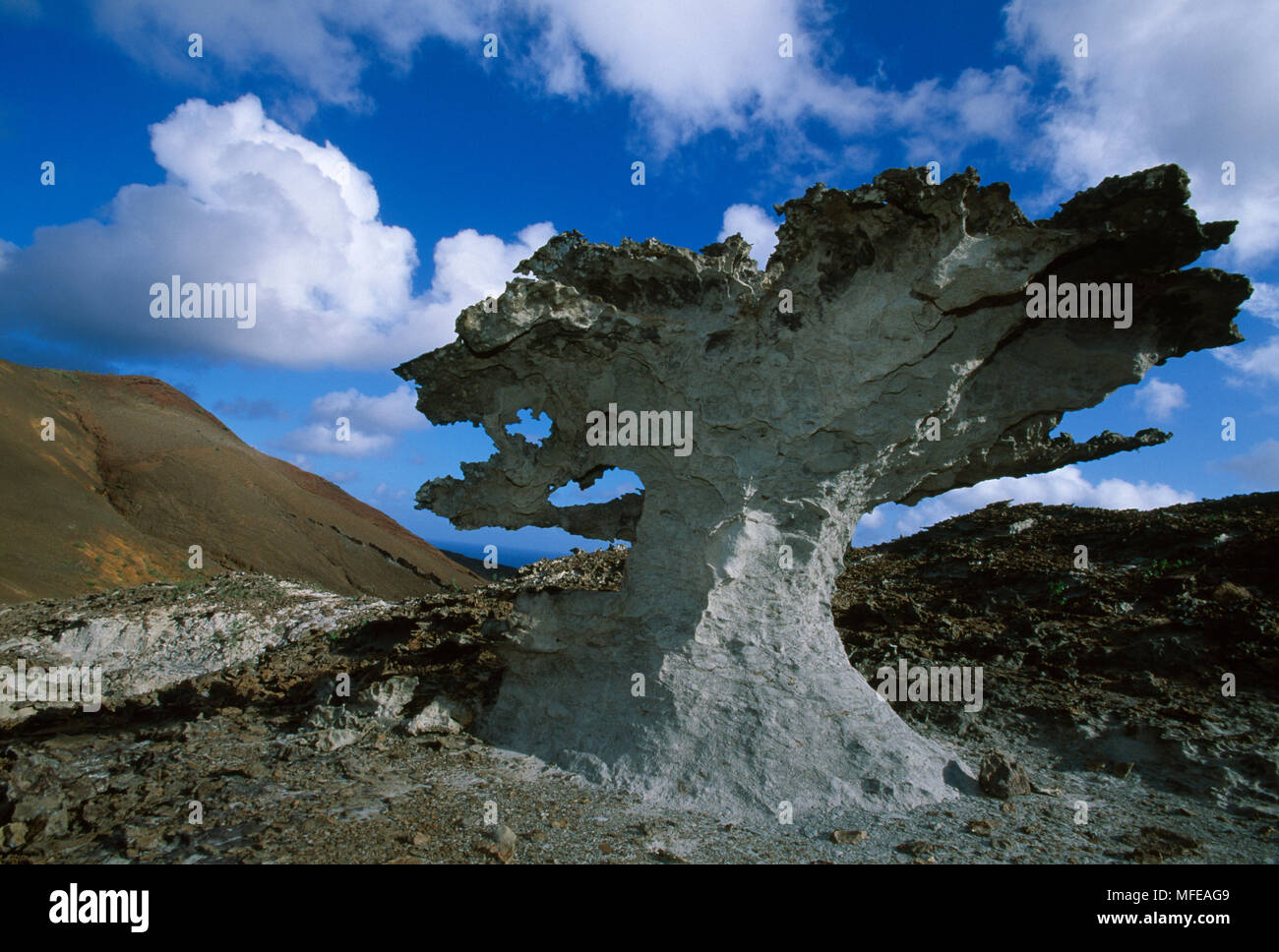 Del DIAVOLO scuola di equitazione da fungo rocks' causato da erosione di vento di trachite di roccia vulcanica Isola di Ascensione, Oceano Atlantico Foto Stock