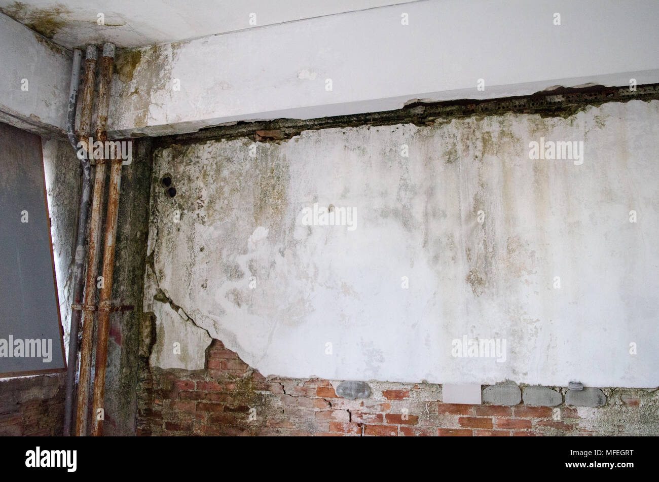 Stampo a parete muffa seminterrato Foto Stock