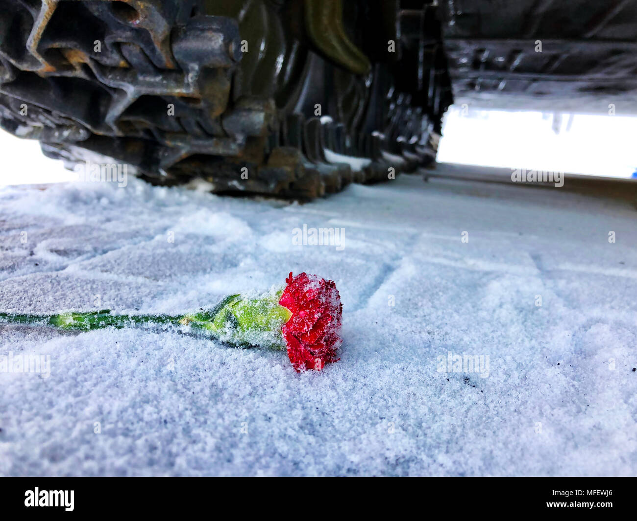 Red Carnation sotto il serbatoio caterpillar Foto Stock