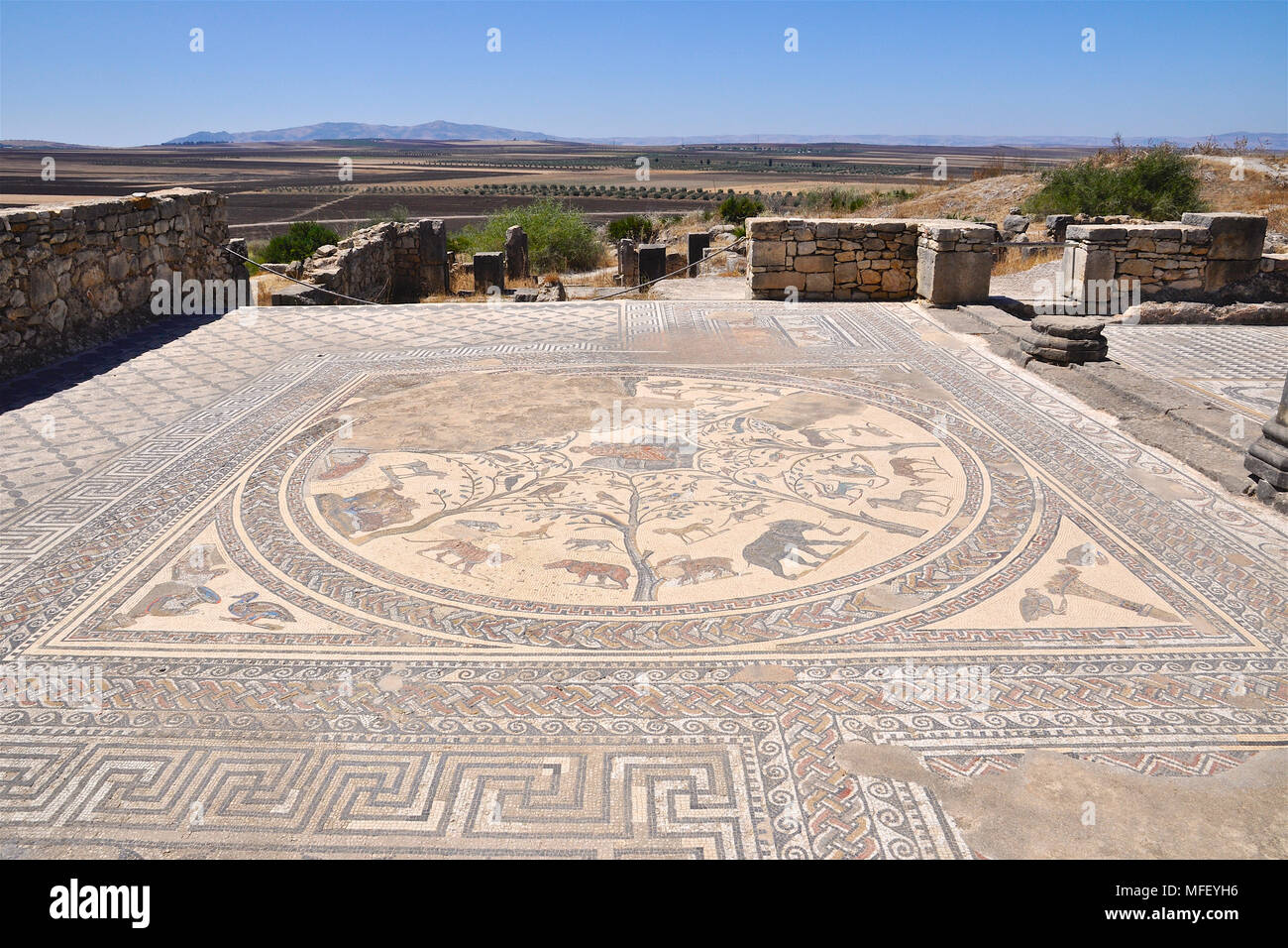 Vista panoramica della casa di Orfeo e il suo canto di Orfeo per gli animali e gli alberi a mosaico Volubilis rovine romane (Fès-Meknès, Marocco) Foto Stock