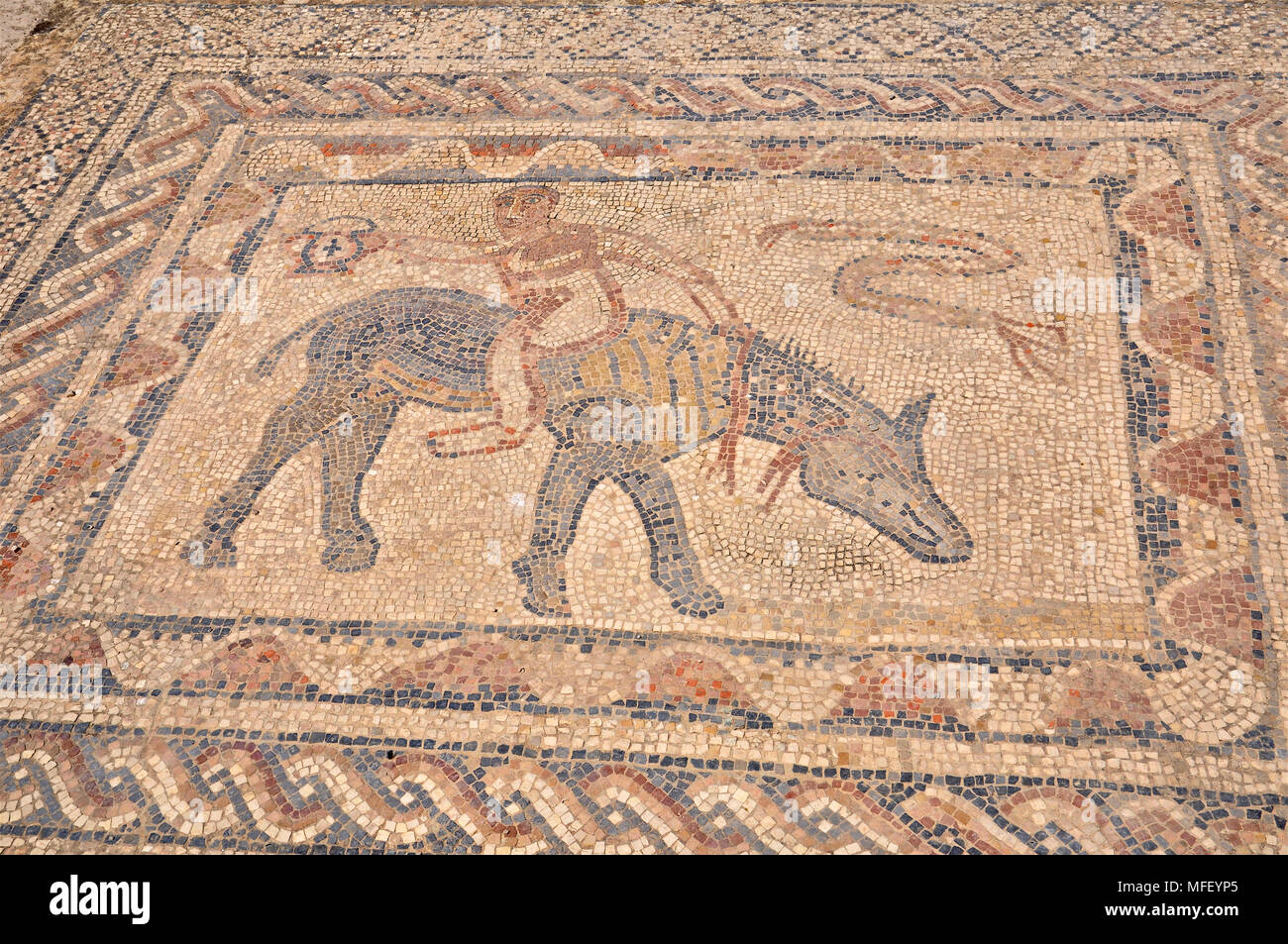 Dettaglio della casa di Desultor mosaico, che mostra un acrobat cavalcando un asino torna a Volubilis rovine romane (Fès-Meknès, Marocco) Foto Stock