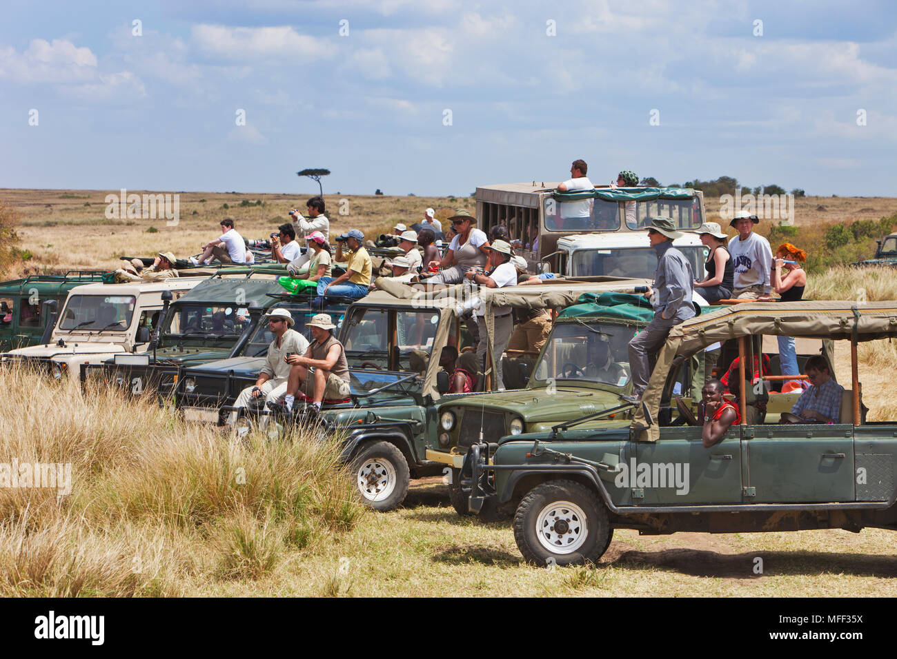 I turisti a guardare il GNU migrazione attraversando il fiume Mara. Fino a 8000 turisti un giorno può essere nel Masai Mara durante la migrazione mesi del Foto Stock