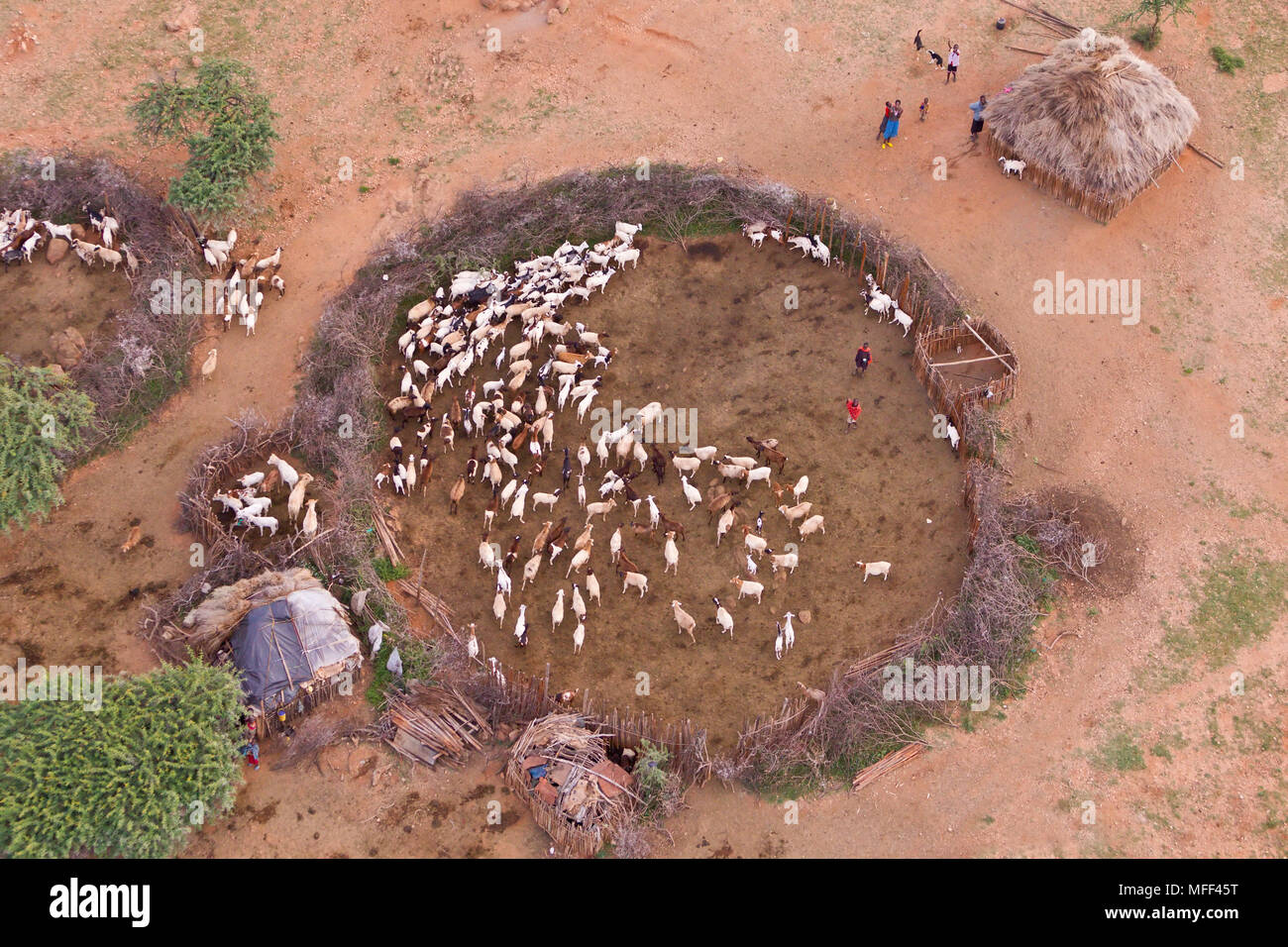 Vista aerea di Rendille capanne del villaggio e del bestiame penne, Kenya. Foto Stock