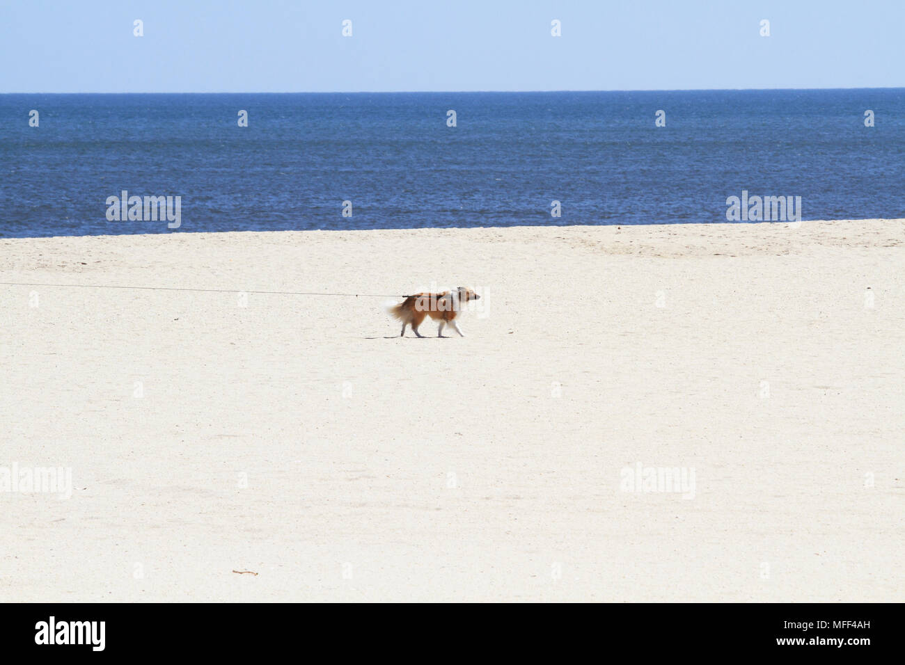 La spiaggia di Point Pleasant Beach, New Jersey, STATI UNITI D'AMERICA Foto Stock
