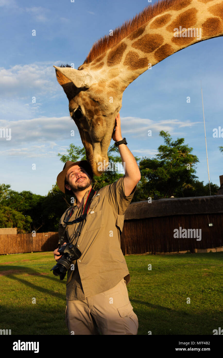 Uomo di fotografare la giraffa, Sud Africa. Modello rilasciato Foto Stock