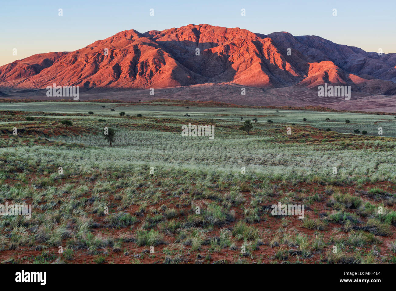 Il NamibRand Riserva Naturale, Namibia Foto Stock