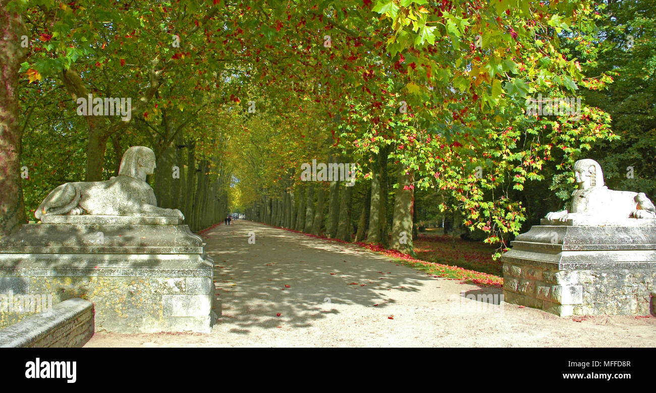 Ingresso al castello di Chenonceau. Il Gran viale di platani Foto Stock
