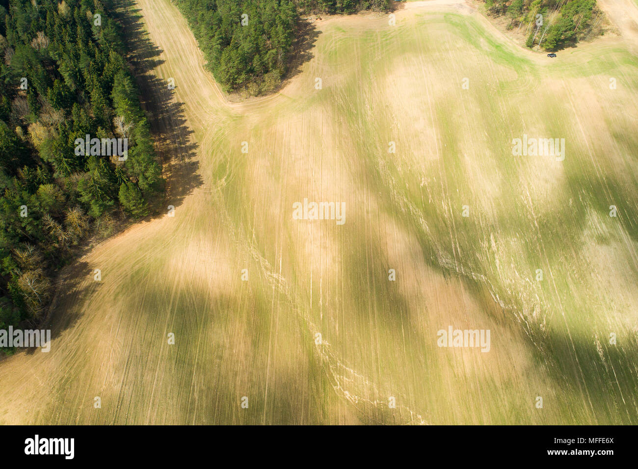 Campi in primavera con la foresta in una giornata di sole antenna fuco vista. Molla di sole sfondo. Foto Stock
