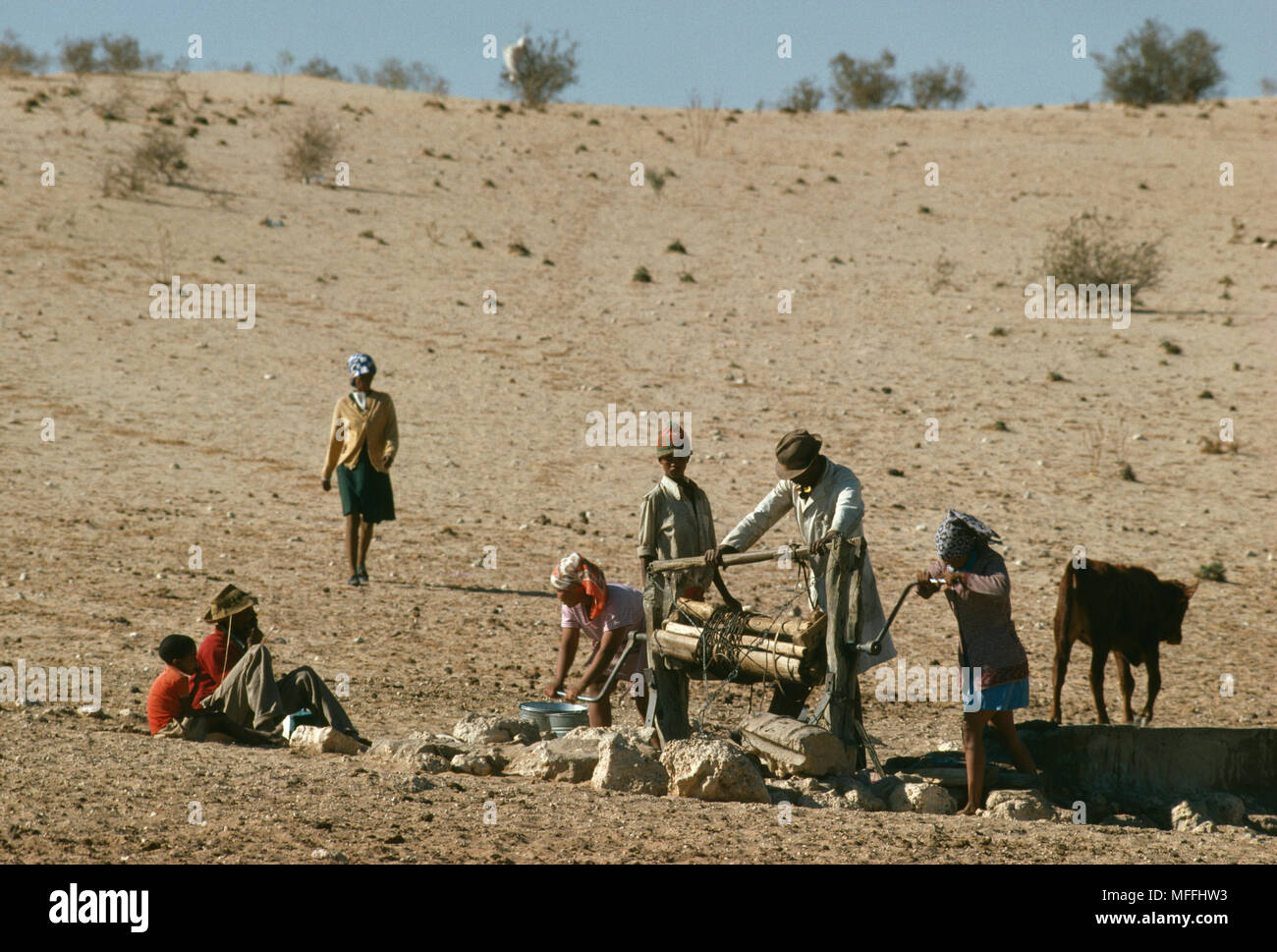 Persone il prelievo di acqua dal pozzo per la fornitura di bovini. Kalahari Botswana, Africa. Foto Stock