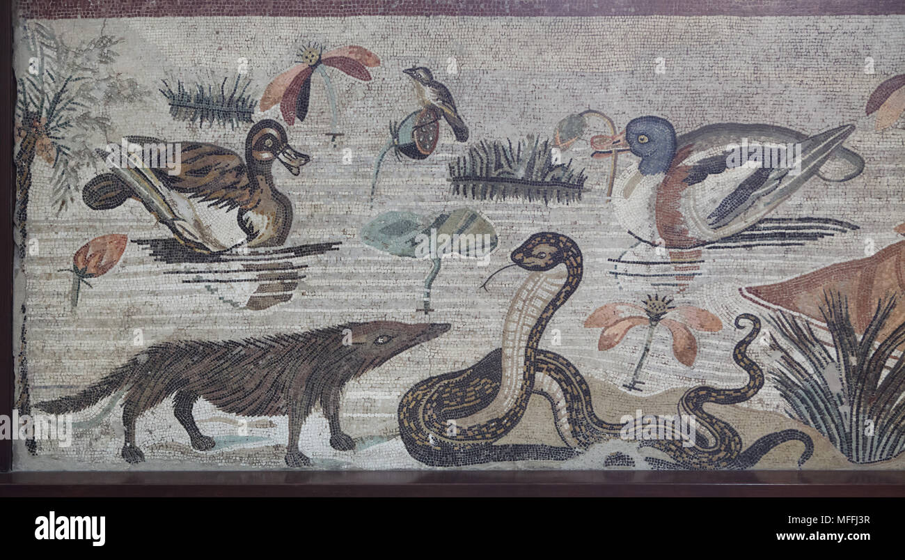 La mangusta egiziana (Herpestes ichneumon), noto anche come la ichneumon e l'Egiziano cobra (Naja haje) rappresentata nel mosaico romano con la scena nilotica dalla Casa del Fauno (Casa del Fauno) a Pompei, ora esposti nel Museo Archeologico Nazionale (Museo Archeologico Nazionale di Napoli) in Napoli, campania, Italy. Foto Stock