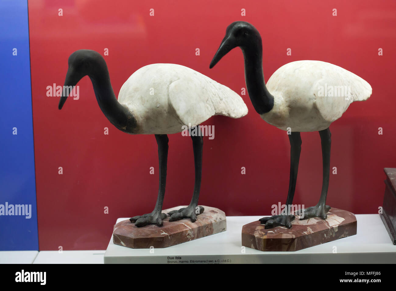 Due ibis sacri datati dal periodo romano dal I secolo a.c. o del I secolo d.c. rinvenuti a Pompei in mostra al Museo Archeologico Nazionale (Museo Archeologico Nazionale di Napoli) in Napoli, campania, Italy. Foto Stock