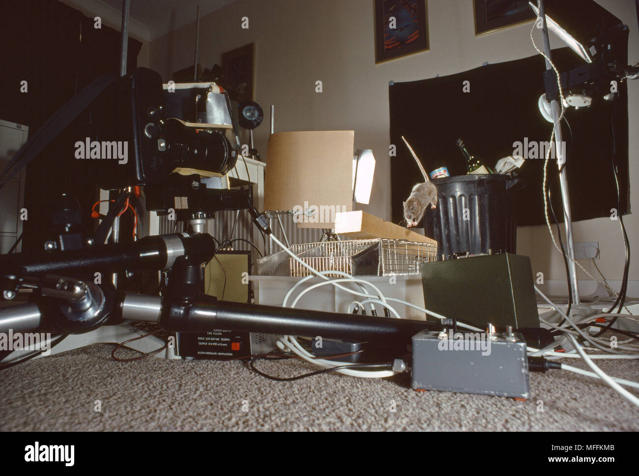 Hi-speed setup di fotografia per un salto di ratto (vista frontale) utilizzato da Stephen Dalton Foto Stock