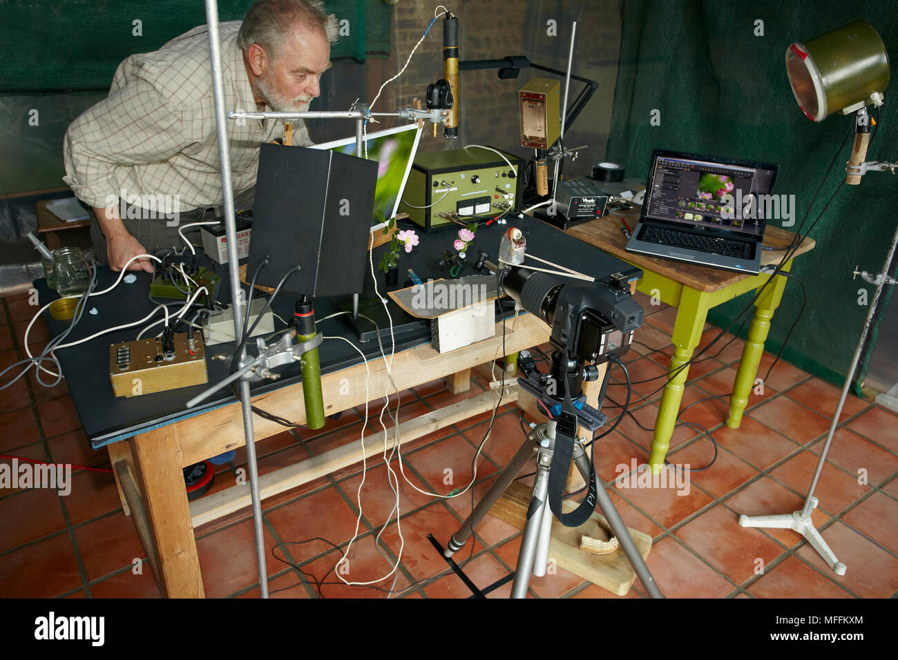 Stephen Dalton di volo di insetto fotografia set-up. A parte la fotocamera e il computer, tutte le apparecchiature è fatta in casa, risalente agli anni settanta qui Foto Stock