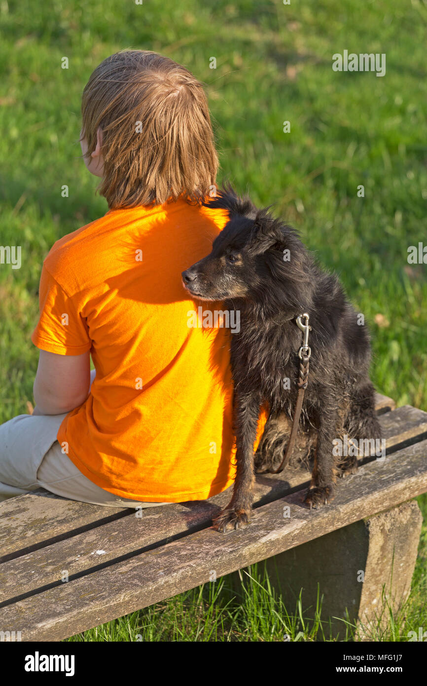Dog sitter vicino al ragazzo su un banco di lavoro Foto Stock