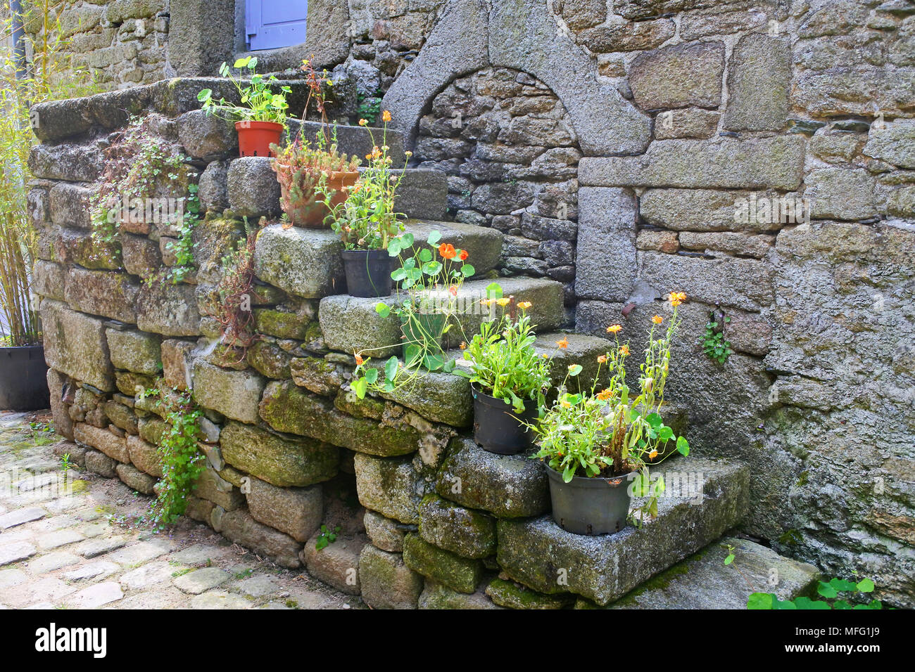 Antica scalinata che conduce fino a una porta con coloratissime piante in vaso, Huelgoat, Brittany, Francia - Giovanni Gollop Foto Stock