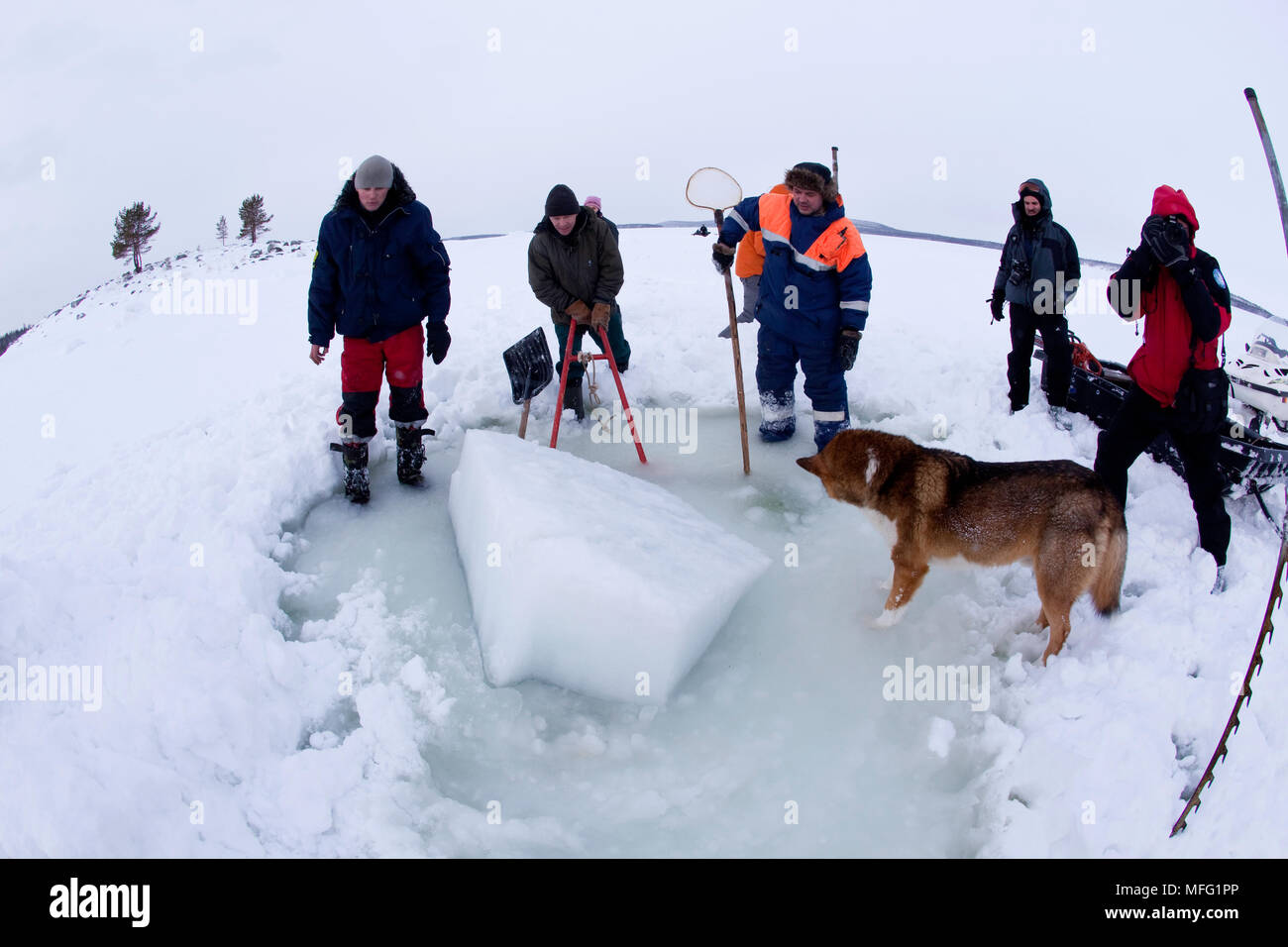 Il making off del foro di entrata (maina) deve essere tagliato con la sega e cancellati dai blocchi di ghiaccio, Circolo Polare Artico Dive Center, Mare Bianco, Carelia, Foto Stock