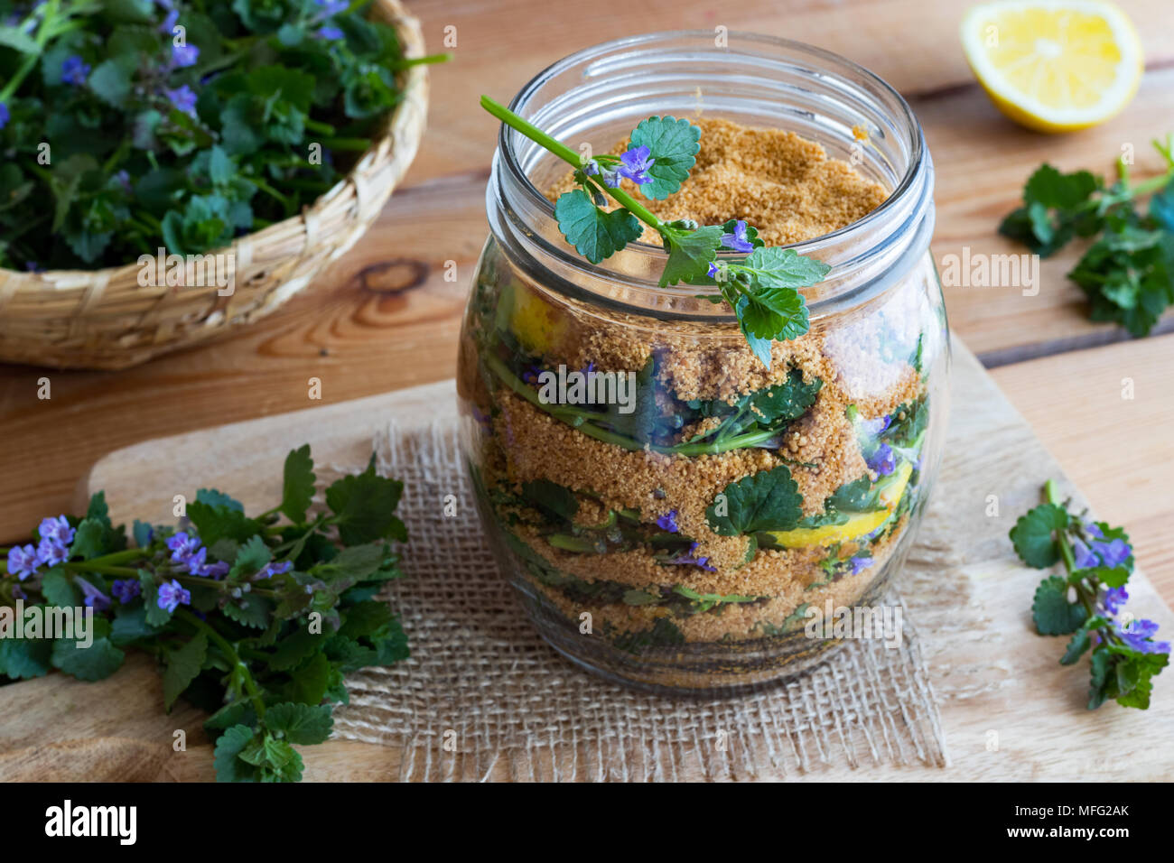 Un vaso di vetro riempito con terra-foglie d'edera e fiori di limone e zucchero di cocco, per preparare in casa lo sciroppo a base di erbe Foto Stock