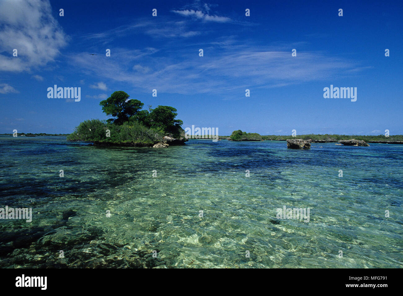Piccola isola all'interno della laguna, Aldabra Atoll, patrimonio mondiale naturale, Seychelles, Oceano Indiano Data: 24.06.08 RIF: ZB777 115630 0004 COMPULSO Foto Stock