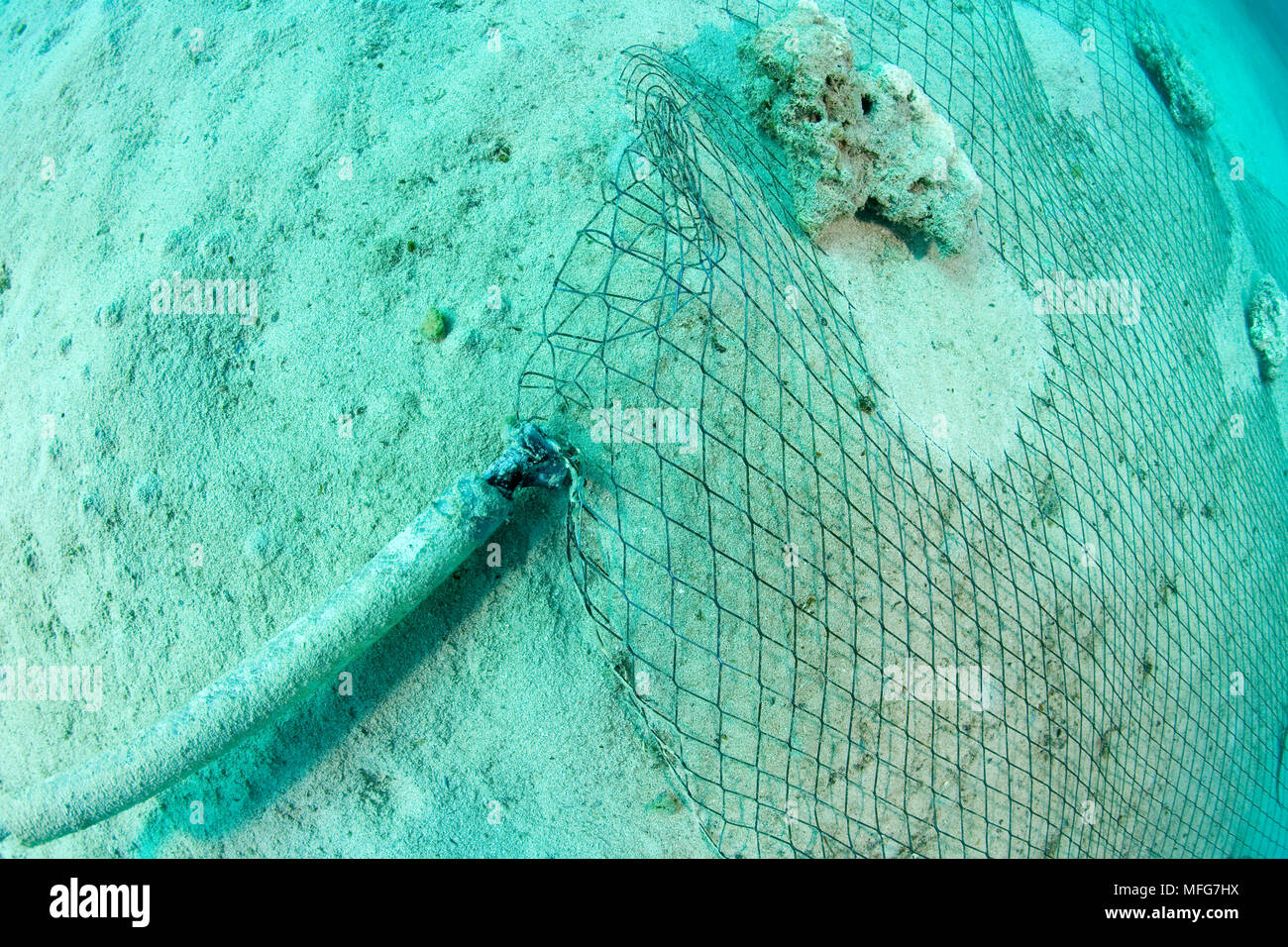 Uno dell'elettrodo fornisce corrente per la struttura di bio-rock, metodo di rafforzare la crescita di coralli e organismi acquatici, metallo che copre una w Foto Stock