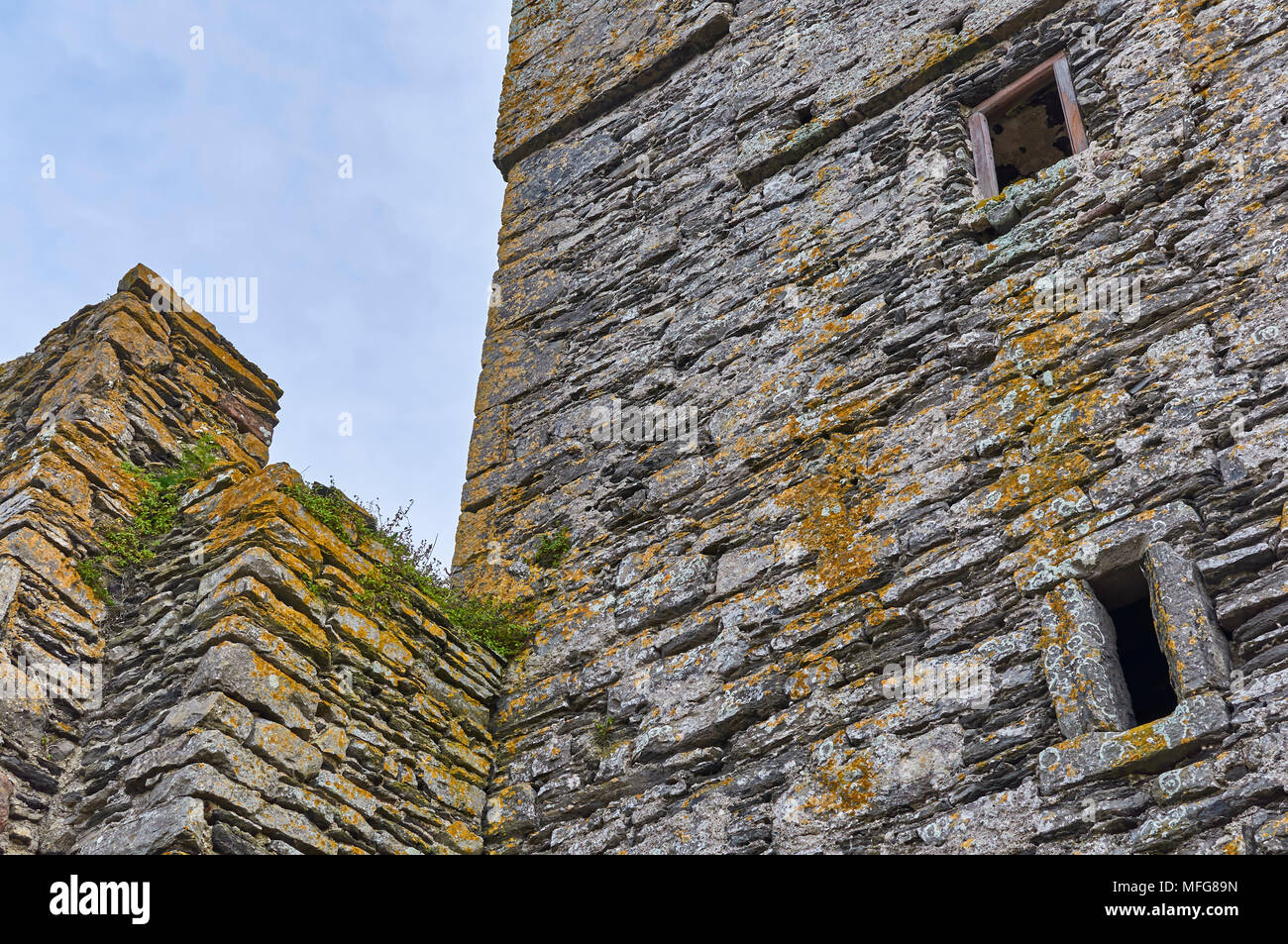 Una chiusura delle pareti in pietra di Slade castello sulla penisola di gancio nella Contea di Wexford, Irlanda meridionale. Foto Stock