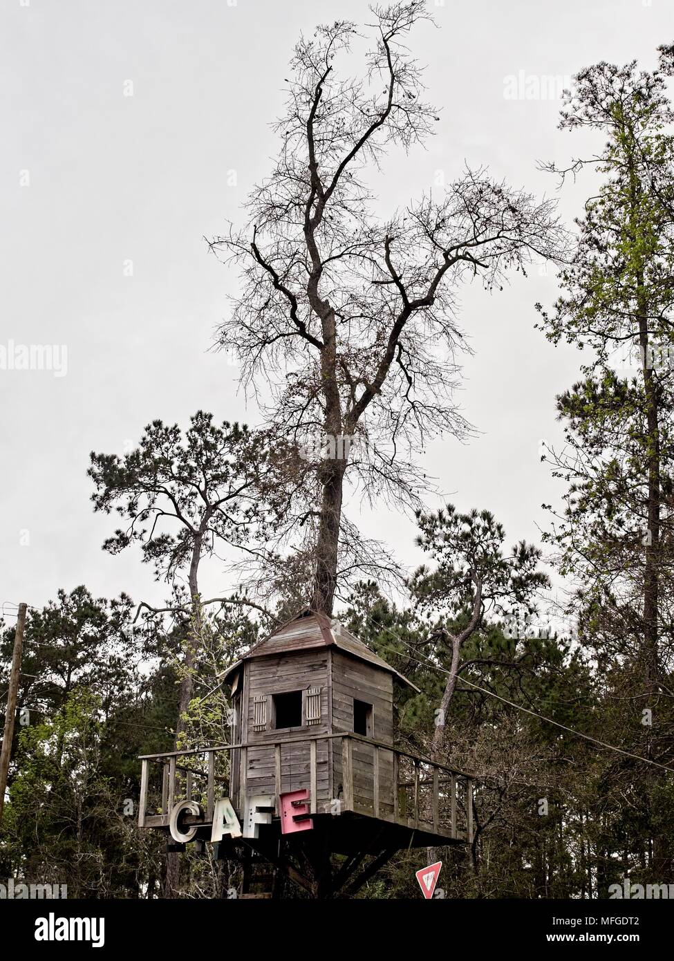 Cafe Sign on a Treehouse lungo una strada sopraelevata in Texas Foto Stock