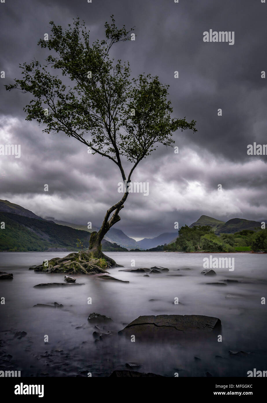 Llyn Padarn, Gwynedd, Galles del Nord, Regno Unito Foto Stock