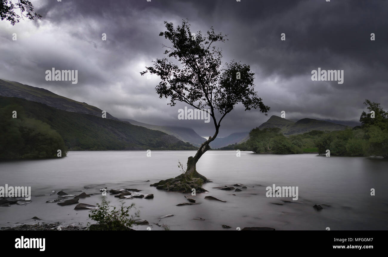Llyn Padarn, Gwynedd, Galles del Nord, Regno Unito Foto Stock