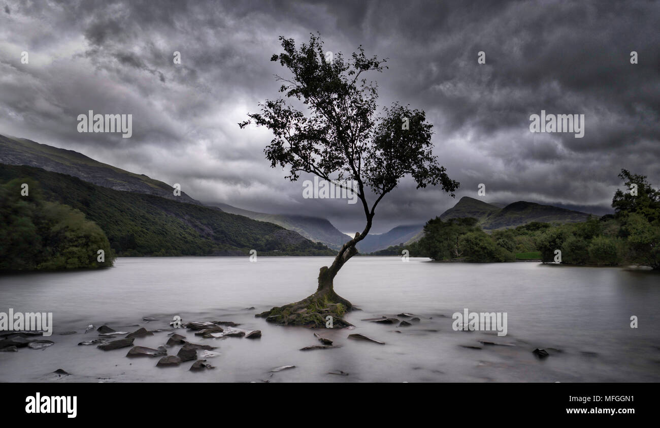 Llyn Padarn, Gwynedd, Galles del Nord, Regno Unito Foto Stock