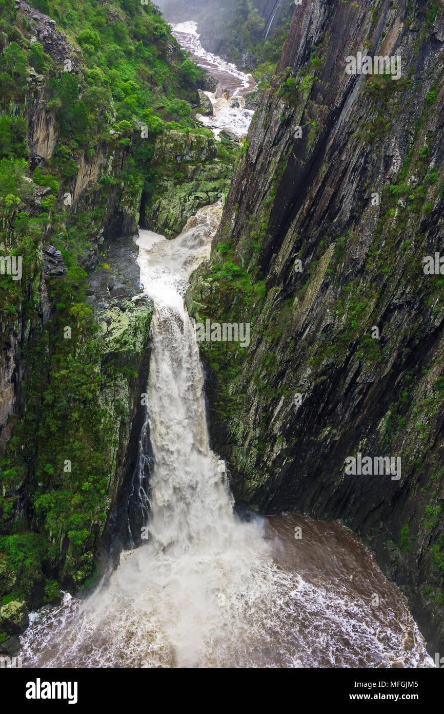 Apsley Falls (caduta inferiore), Oxley Wild River National Park, New South Wales, Australia Foto Stock