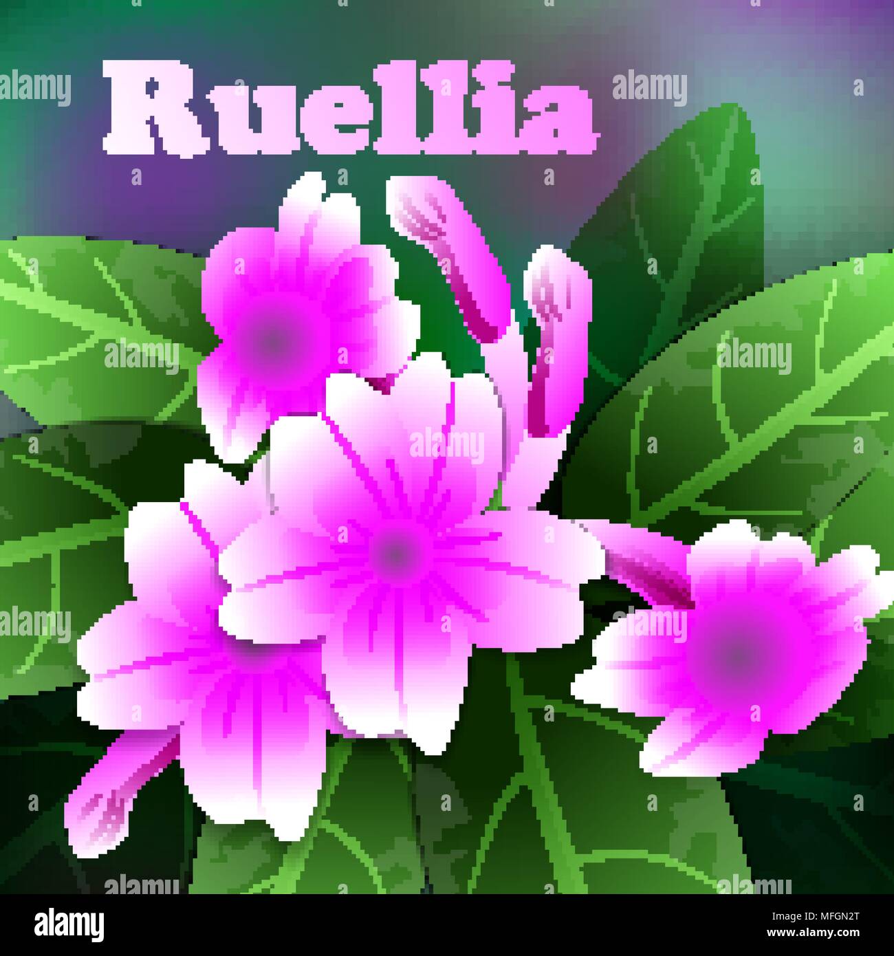 Bellissimi fiori di primavera Ruellia. Le schede o la tua progettazione con spazio per il testo. Illustrazione Vettoriale Illustrazione Vettoriale