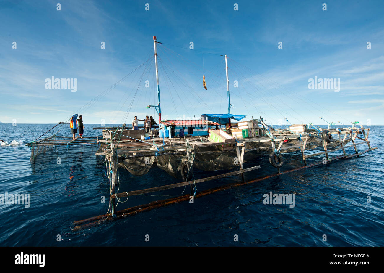 Un tradizionale pesca Papua piattaforma (bagan), casa di pescatori per mesi e mesi Foto Stock