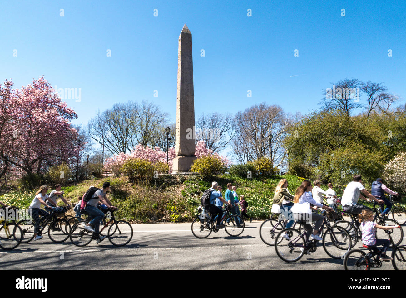 Cleopatra Needle obelisco è circondato da alberi di magnolia che fiorisce in primavera, al Central Park di New York, Stati Uniti d'America Foto Stock