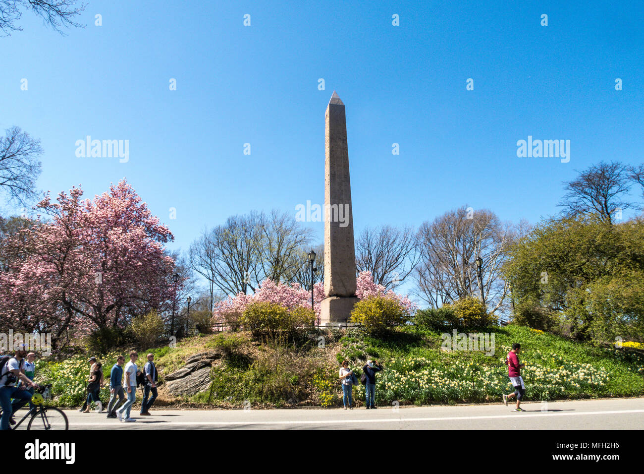 Cleopatra Needle obelisco è circondato da alberi di magnolia che fiorisce in primavera, al Central Park di New York, Stati Uniti d'America Foto Stock