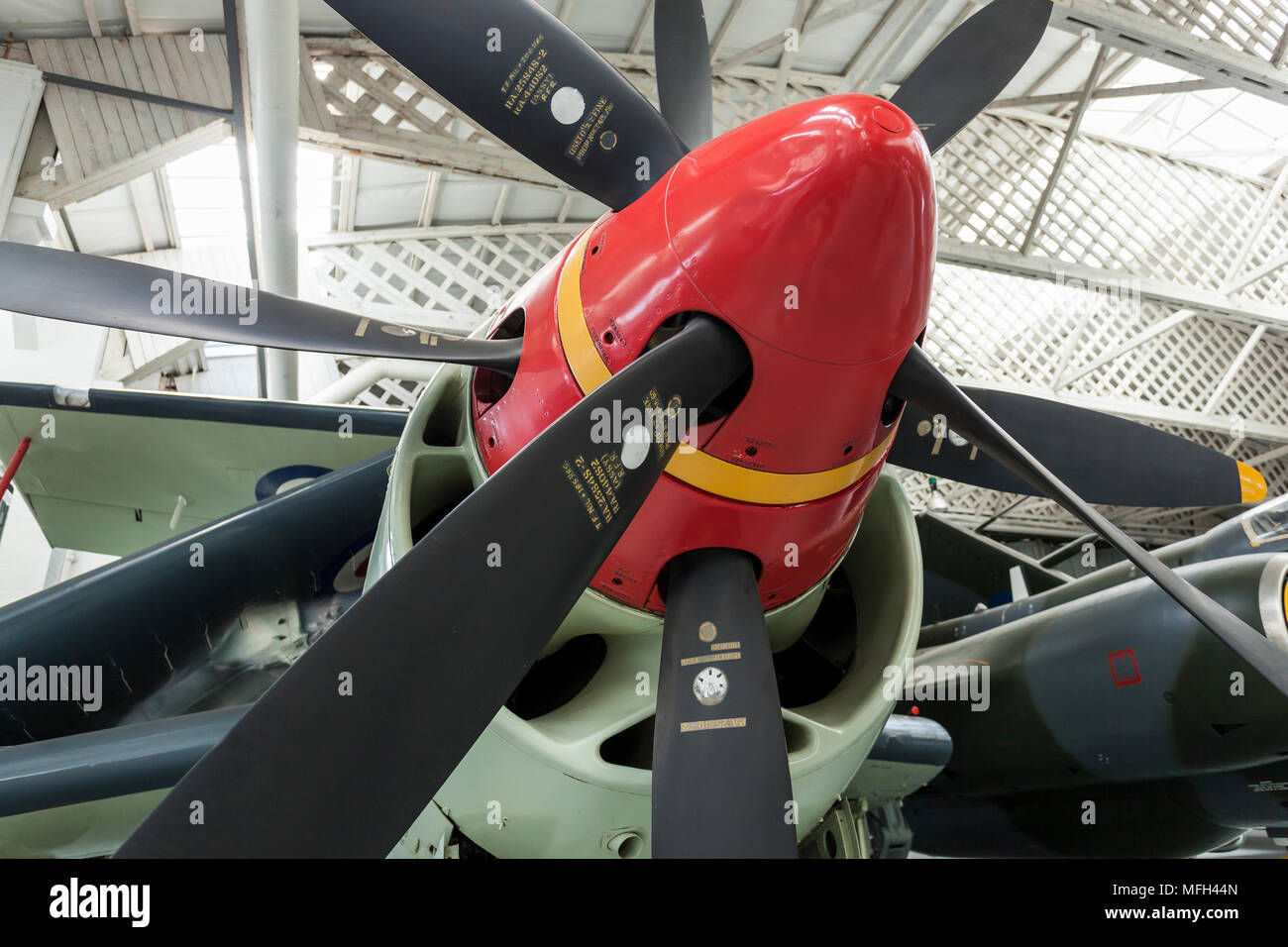 Duxford Air Museum. Inghilterra, Regno Unito. Un close-up di un Royal Navy Gannett velivoli elica sul display in un aeromobile appendiabiti. Foto Stock