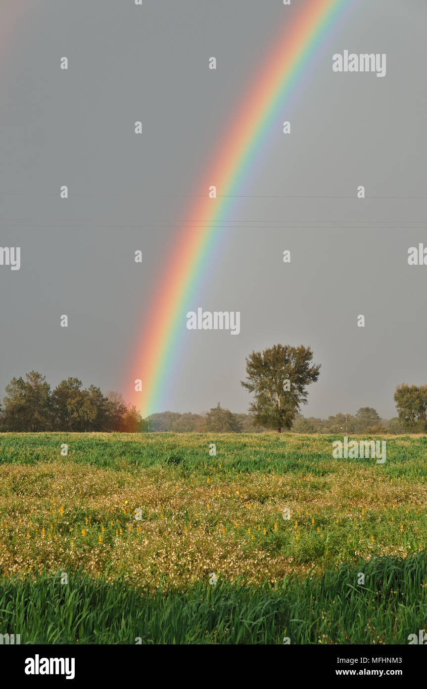 Rainbows su terreni agricoli in Alentejo, Portogallo Foto Stock