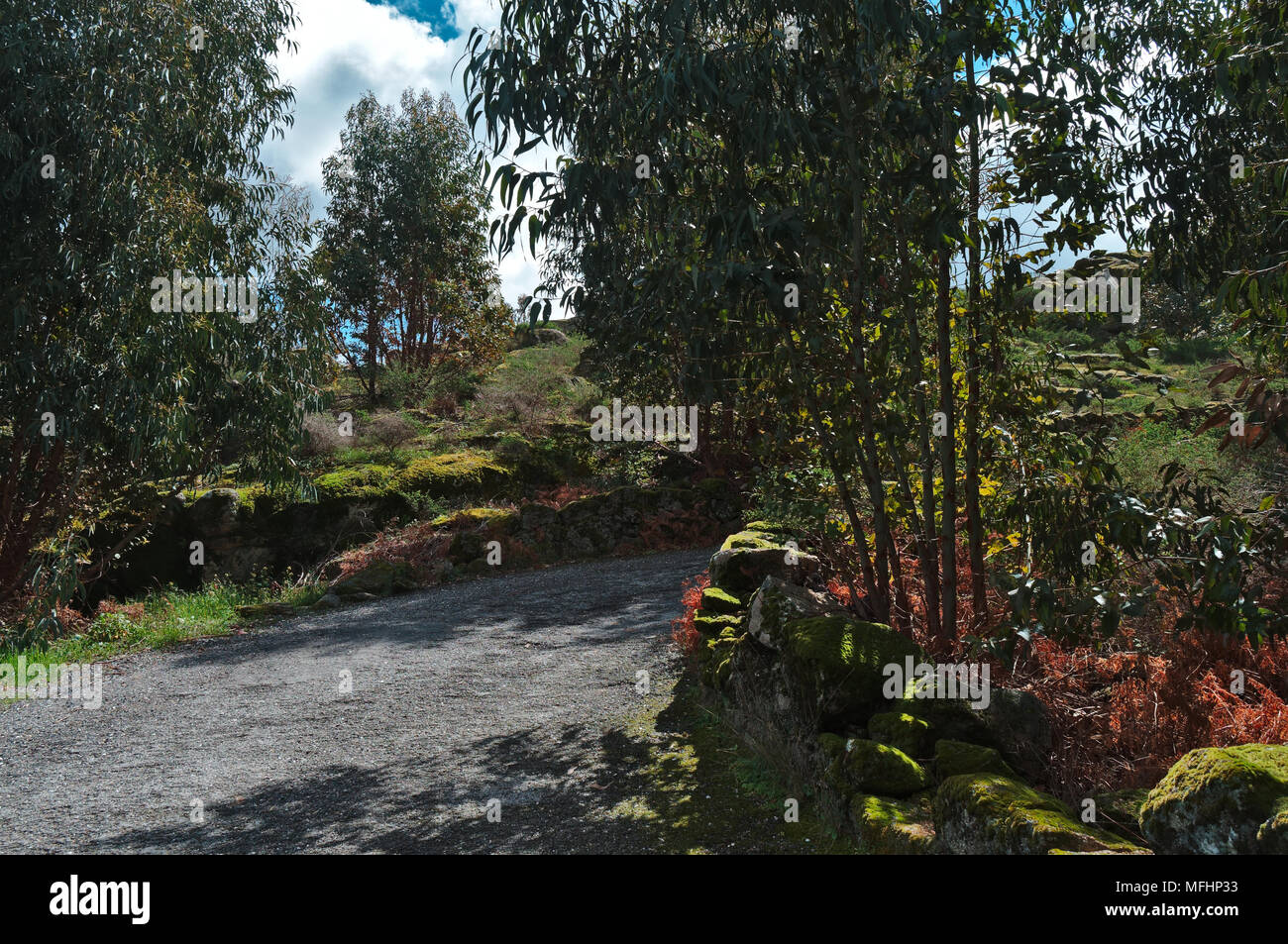 Monsanto campi di montagna e la natura in Portogallo Foto Stock