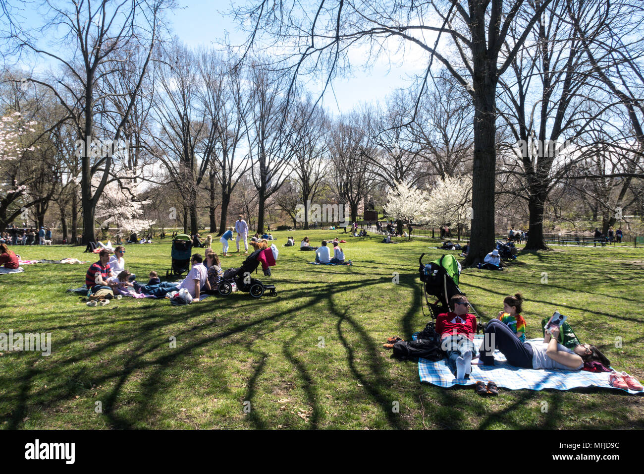 Le persone godono di un pic-nic sul grande prato di Central Park durante la primavera, NYC, STATI UNITI D'AMERICA Foto Stock