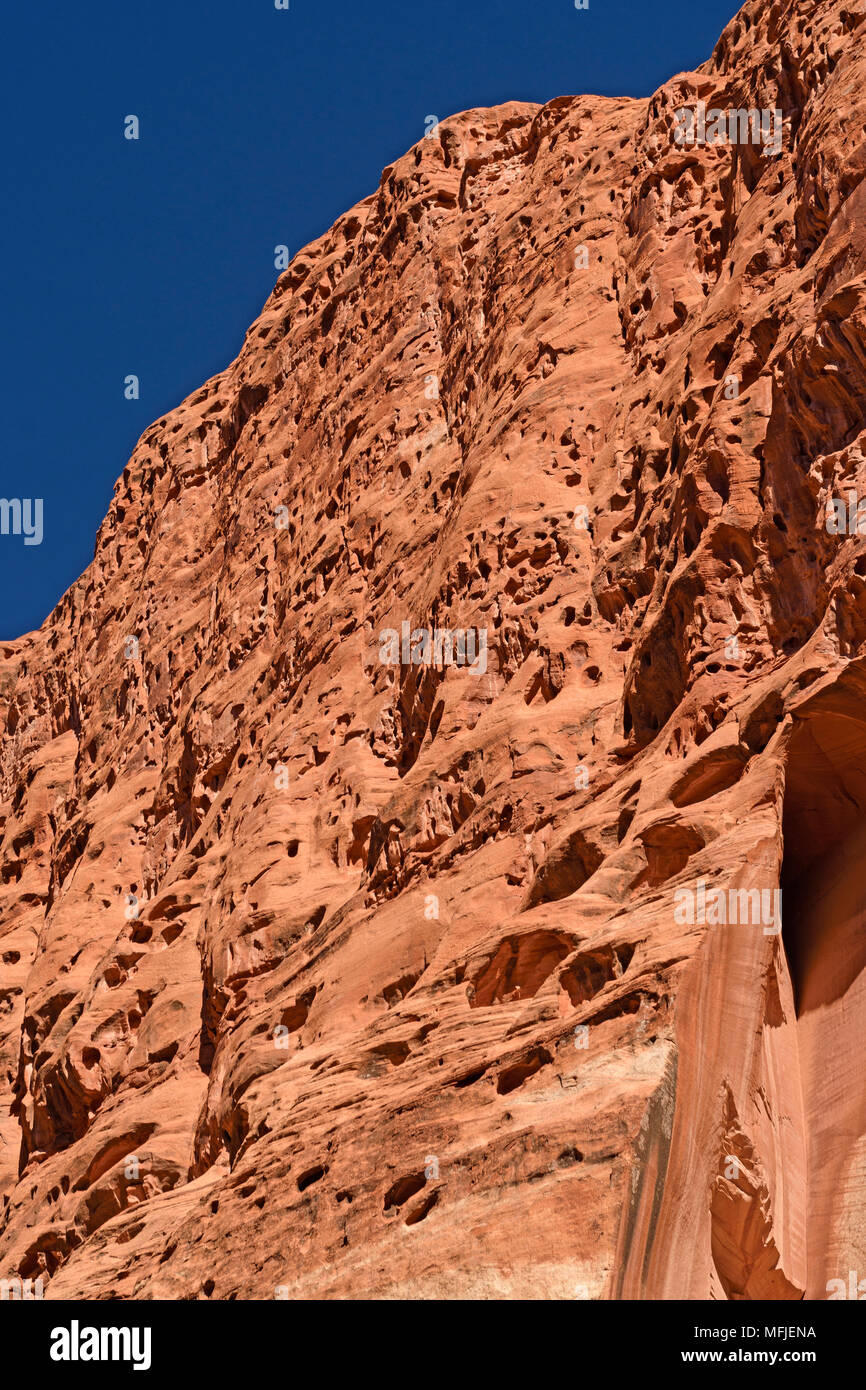 Pockmarked scogliere in un Red Rock Canyon in Capitol Reef National Park nello Utah Foto Stock