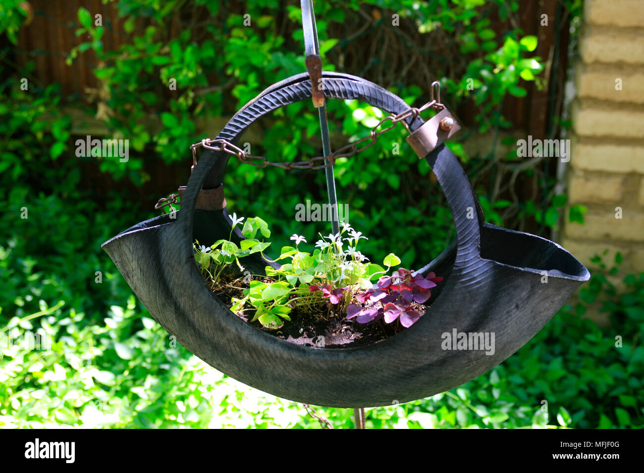 Riciclaggio creativo utilizzando un vecchio pneumatico di gomma come un impianto titolare in un barrio quartiere giardino in Tucson, Arizona Foto Stock