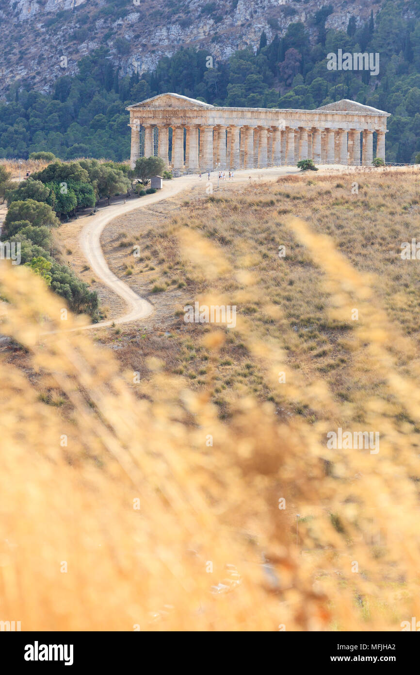 Tempio di Segesta, Calatafimi, provincia di Trapani, Sicilia, Italia, Europa Foto Stock
