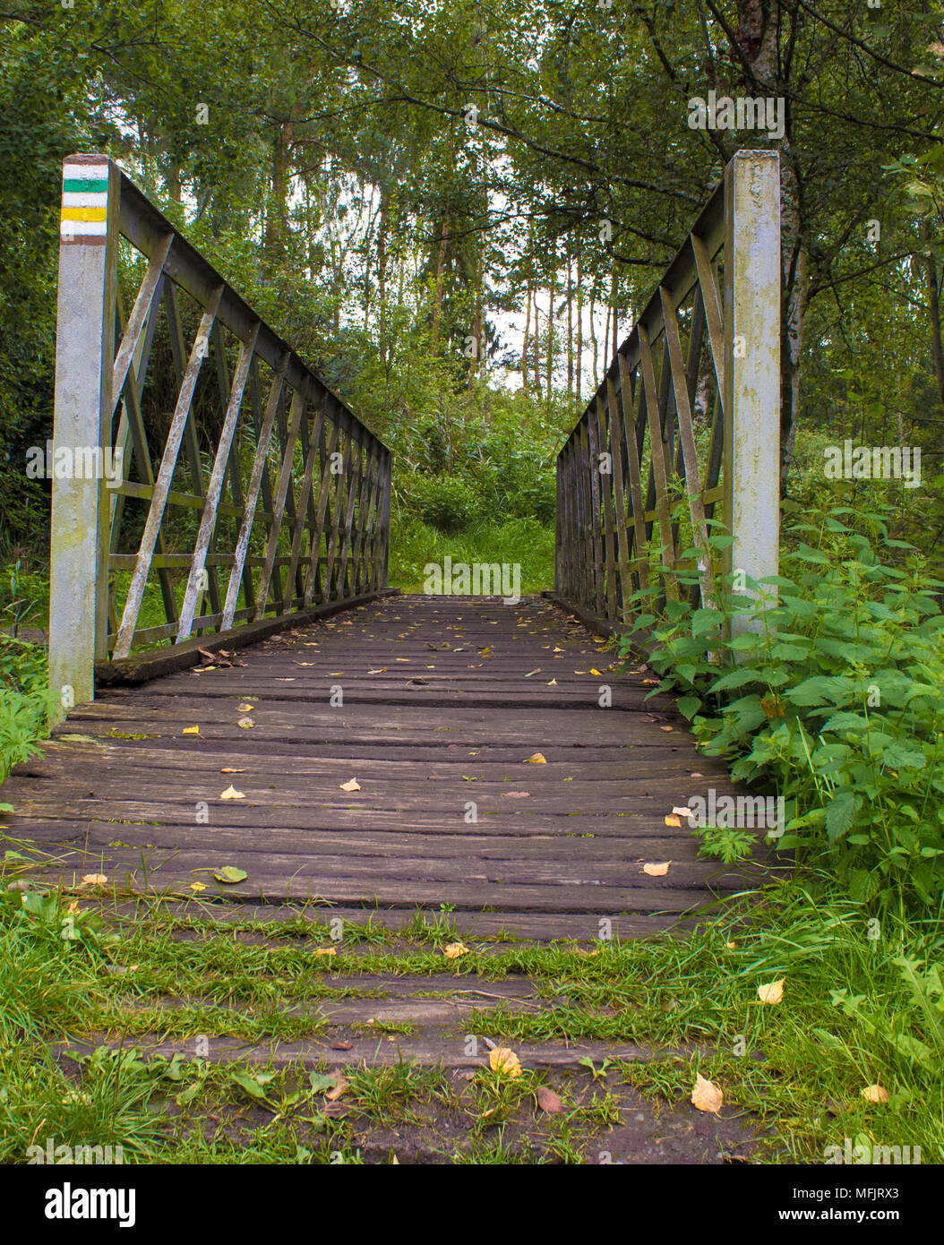 Ponte di legno attraverso il fiume con ringhiere in acciaio. Le foglie sono sul ponte. Sullo sfondo sono alberi. Foto Stock