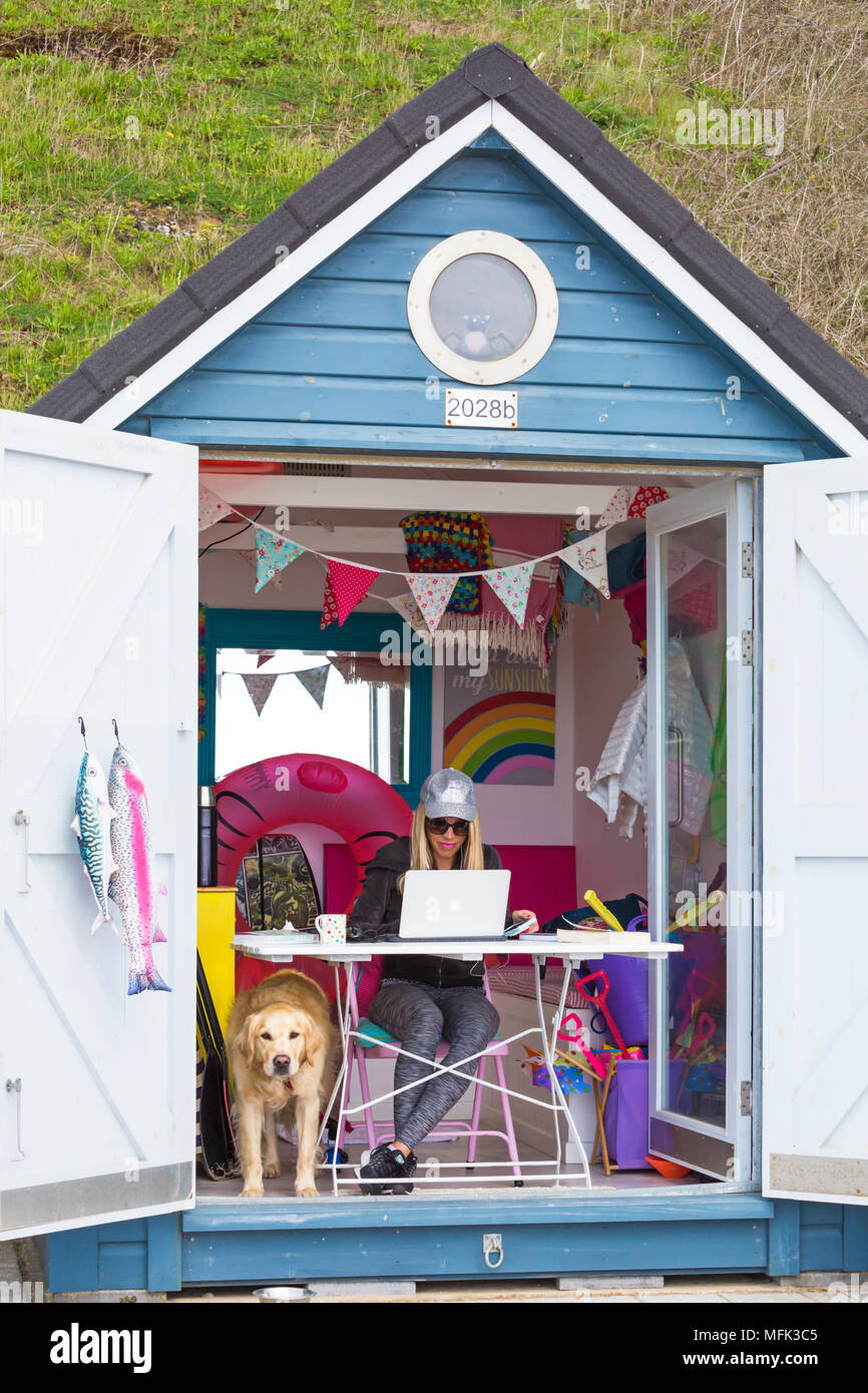 Bournemouth Dorset, Regno Unito. Il 26 aprile 2018. Regno Unito: meteo soleggiato e ventilato a Bournemouth. Donna al lavoro su laptop all'interno colorato beach hut ad Alum Chine con il Golden Retriever cane per la società. Credito: Carolyn Jenkins/Alamy Live News Foto Stock