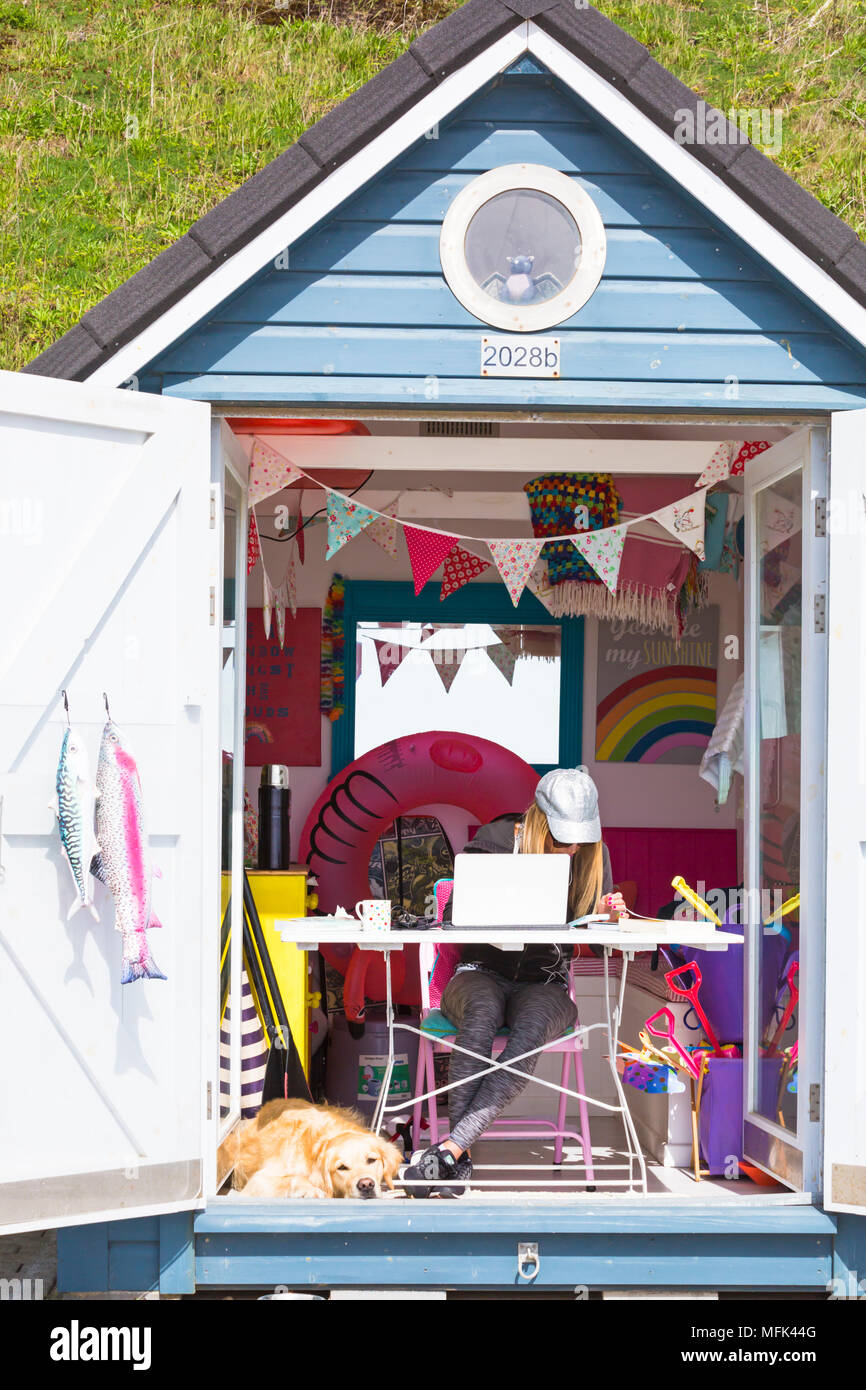 Bournemouth Dorset, Regno Unito. Il 26 aprile 2018. Regno Unito: meteo soleggiato e ventilato a Bournemouth. Donna al lavoro su laptop all'interno colorato beach hut ad Alum Chine con il Golden Retriever cane per la società. Credito: Carolyn Jenkins/Alamy Live News Foto Stock