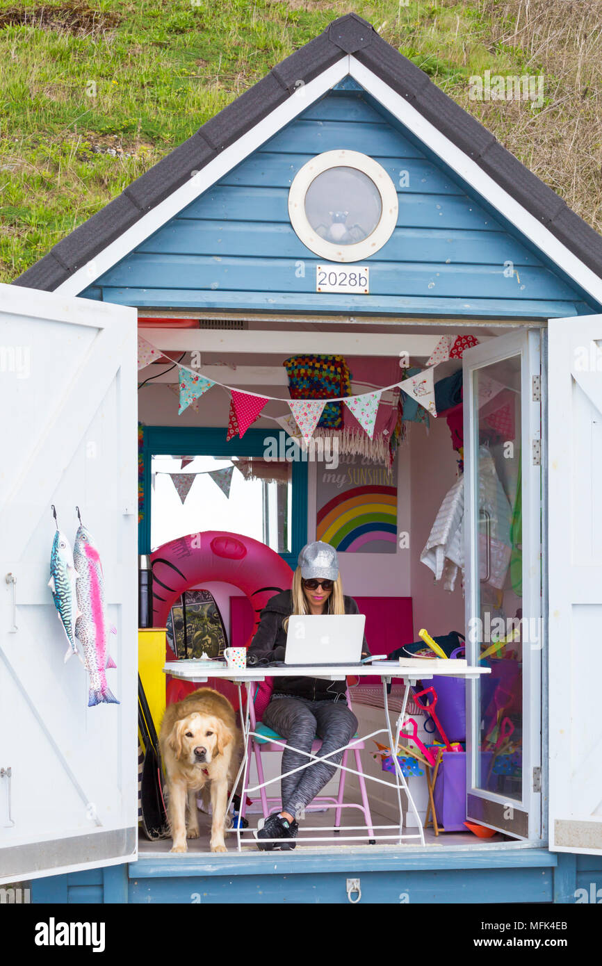 Bournemouth Dorset, Regno Unito. Il 26 aprile 2018. Regno Unito: meteo soleggiato e ventilato a Bournemouth. Donna al lavoro su laptop all'interno colorato beach hut ad Alum Chine con il Golden Retriever cane per la società. Credito: Carolyn Jenkins/Alamy Live News Foto Stock