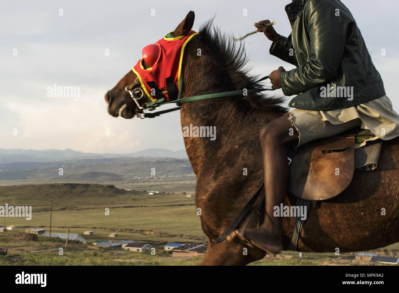 11 gennaio 2018 - Matatiele, Capo orientale, Sud Africa - Kahlo, 16, gare di suo nonno cavallo attraverso il villaggio. (Credito Immagine: © Stefan Kleinowitz via ZUMA filo) Foto Stock