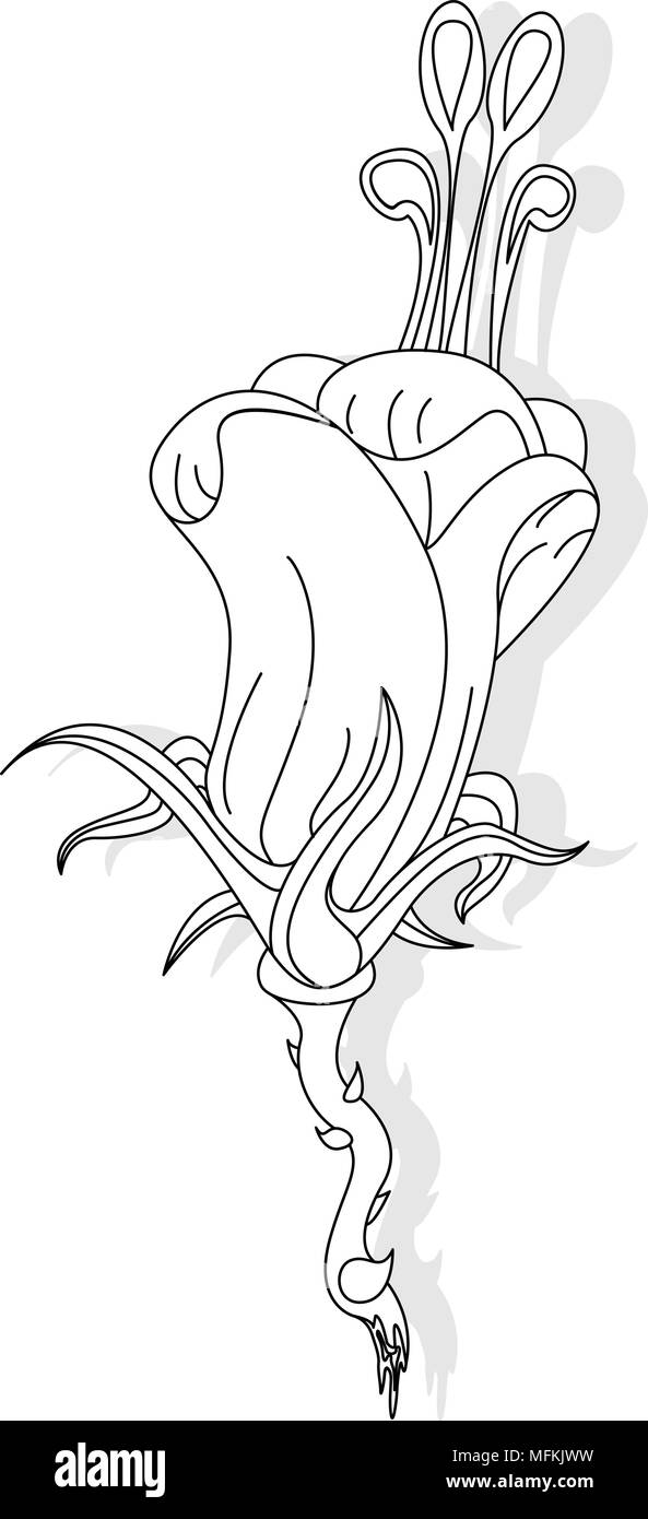 Fantasy Fiore illustrazione impostato su bianco isolato Illustrazione Vettoriale