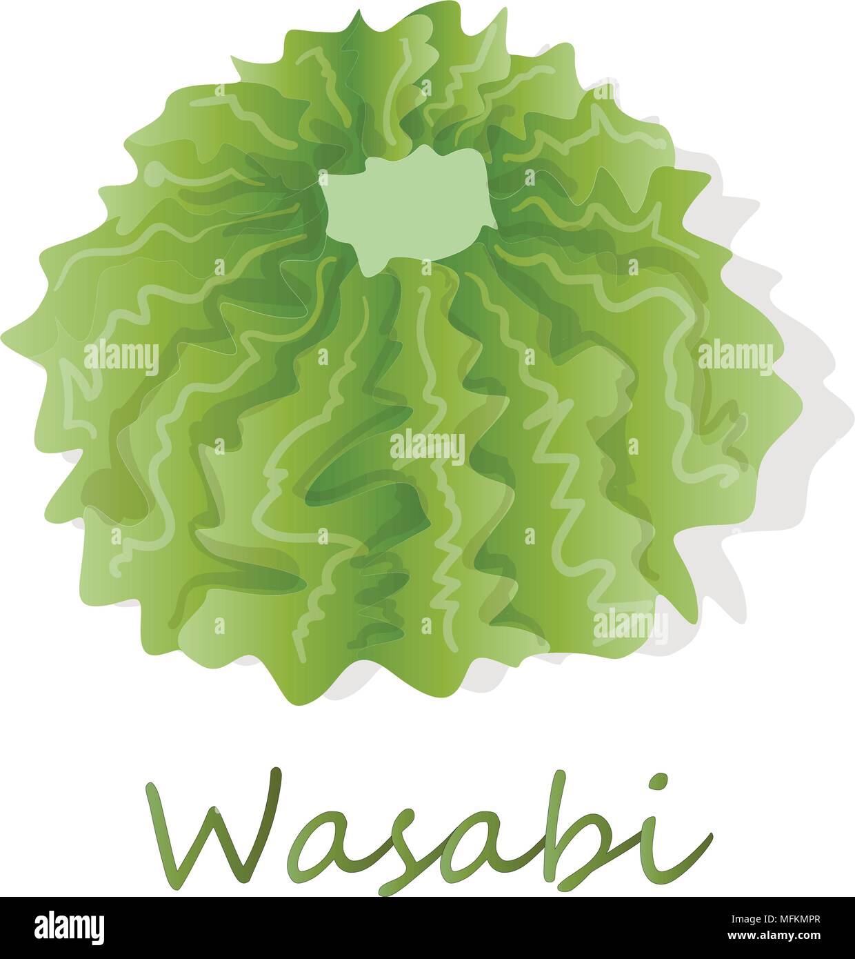 Wasabi giapponese illustrazione di rafano su bianco bacground. Illustrazione Vettoriale