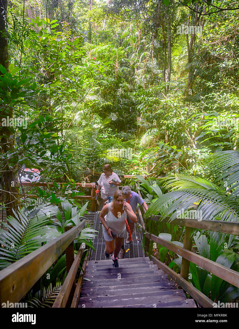 Visitatori ascoltando la registrazione audio attraverso il rainforets presso il Daintree Discovery Center, Parco Nazionale Daintree, estremo Nord Que Foto Stock