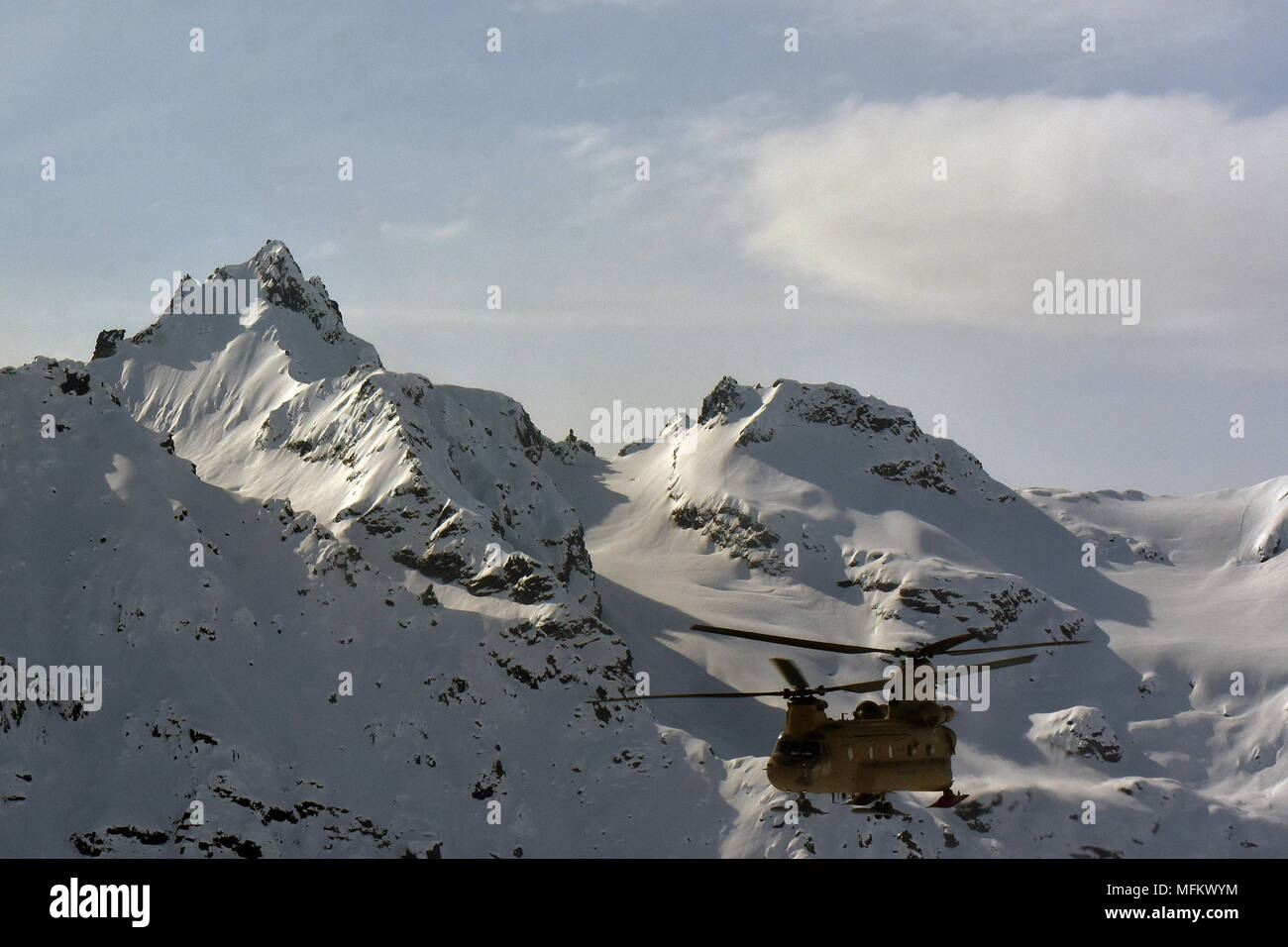 Un CH-47F elicottero Chinook dalla società B, 1° Battaglione, 52nd reggimento aviazione vola attraverso l'Alaska Range 22 aprile 2018. Avieri dalla porta dello zucchero fornito un assist a servizio del parco nazionale da battenti migliaia di sterline di apparecchiature e materiali di consumo da Talkeetna a NPS campo base a 7.000 a livello del piede del ghiacciaio Kahiltna in preparazione per il 2018 Denali stagione di arrampicata. (Esercito foto/John Pennell) Foto Stock